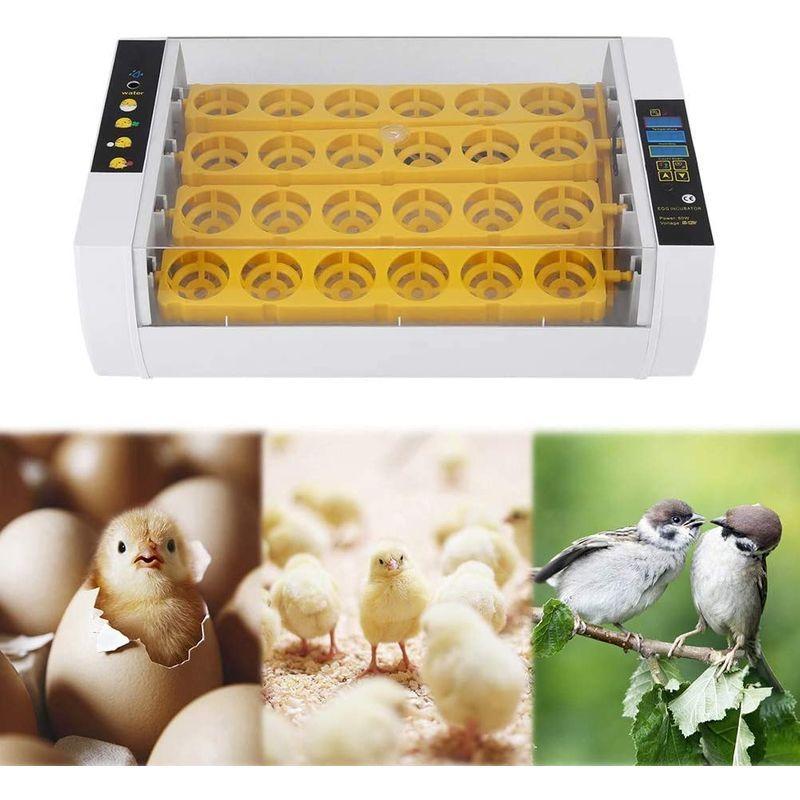 最大63 Offクーポン 24枚小型自動孵卵器 60w卵インキュベーター 自動転卵式 温湿度デジタル表示 アラーム 操作ボタン付き 簡単に取り扱い 省エネ ふ卵器 鶏 Discoversvg Com
