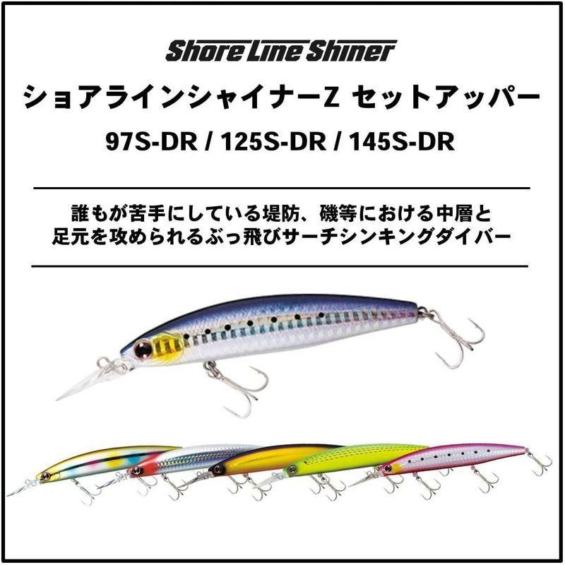 ダイワ(DAIWA) ショアラインシャイナーZ セットアッパー 125S-DR ヒラメピンクイワシ ルアー  :20220206084033-01512:BeLLe-style - 通販 - Yahoo!ショッピング