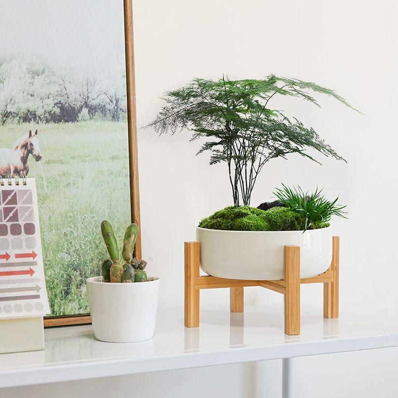 T4u 植木鉢 多肉植物鉢 陶器 大きい 寄せ植え鉢 5号鉢 サボテン鉢 竹製スタンド付き 浅型 プランター 底穴付き ガーデニング 室内 Belle Style 通販 Yahoo ショッピング