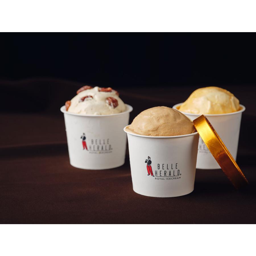 高級アイス 贈答用、お中元、お歳暮に最適、ベルヘラルドロイヤルアイスクリーム アソート10個入ギフトボックス 4571586940579