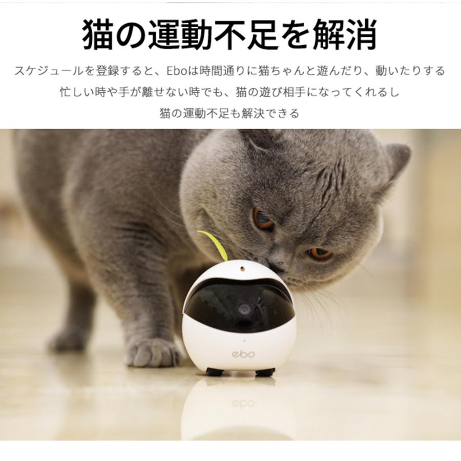 コンビニ受取対応商品 Ebo イーボ ペットモニター 見守りカメラ ペットカメラ 猫用カメラ 猫おもちゃ 猫用スマートロボット 猫ボール 電動 猫の運動不足を解消 人気ブランドを Www Thedailyspud Com