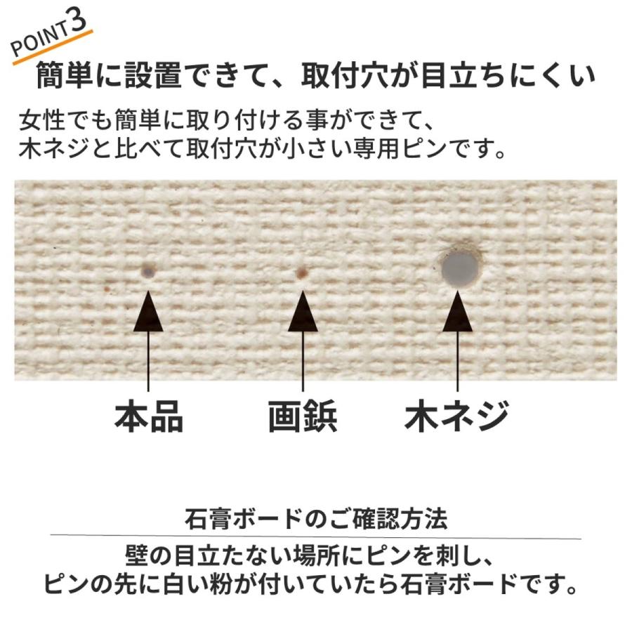 浮かせて干す ピンで設置できる 本体セット 日本全国 送料無料 渡せる物干し