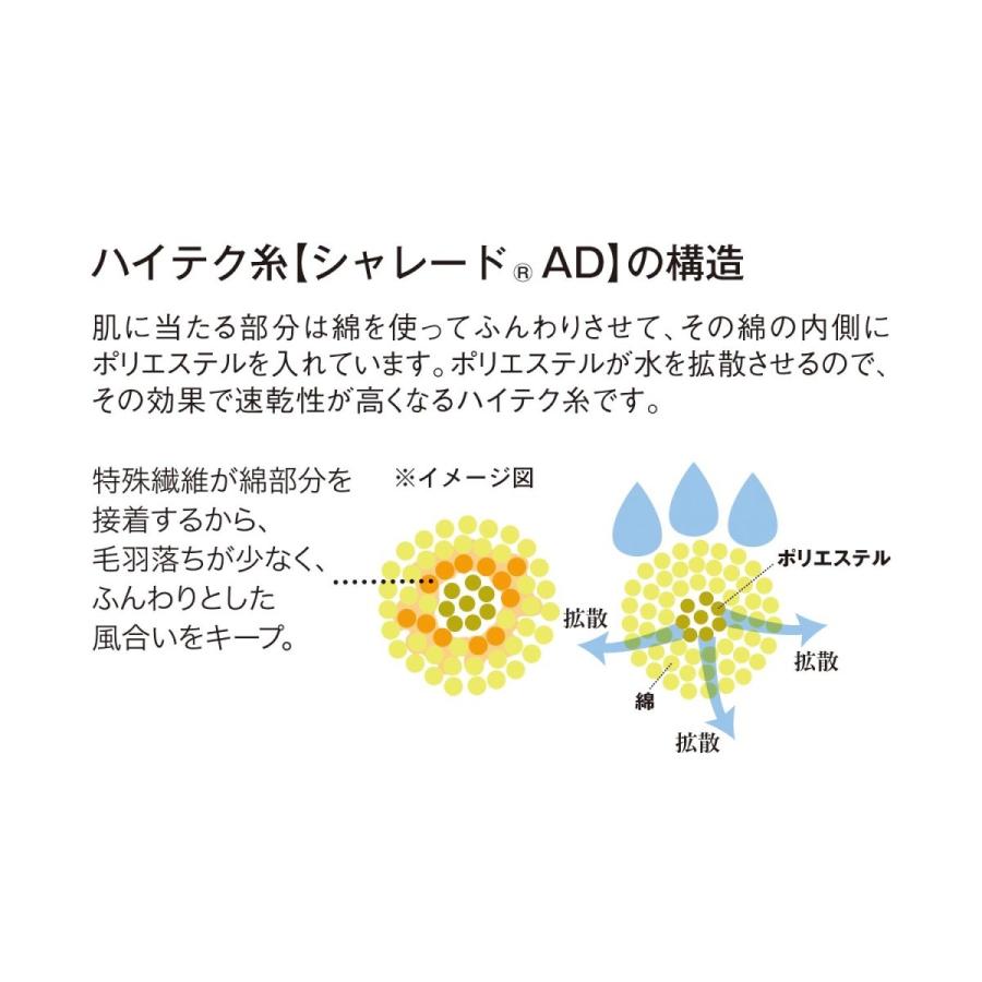 日本産 タオル フェイスタオル 速乾 安い おしゃれ 北欧 すぐ乾く ふわふわ やわらかい チャコールグレー しろくま Wantannas Go Id