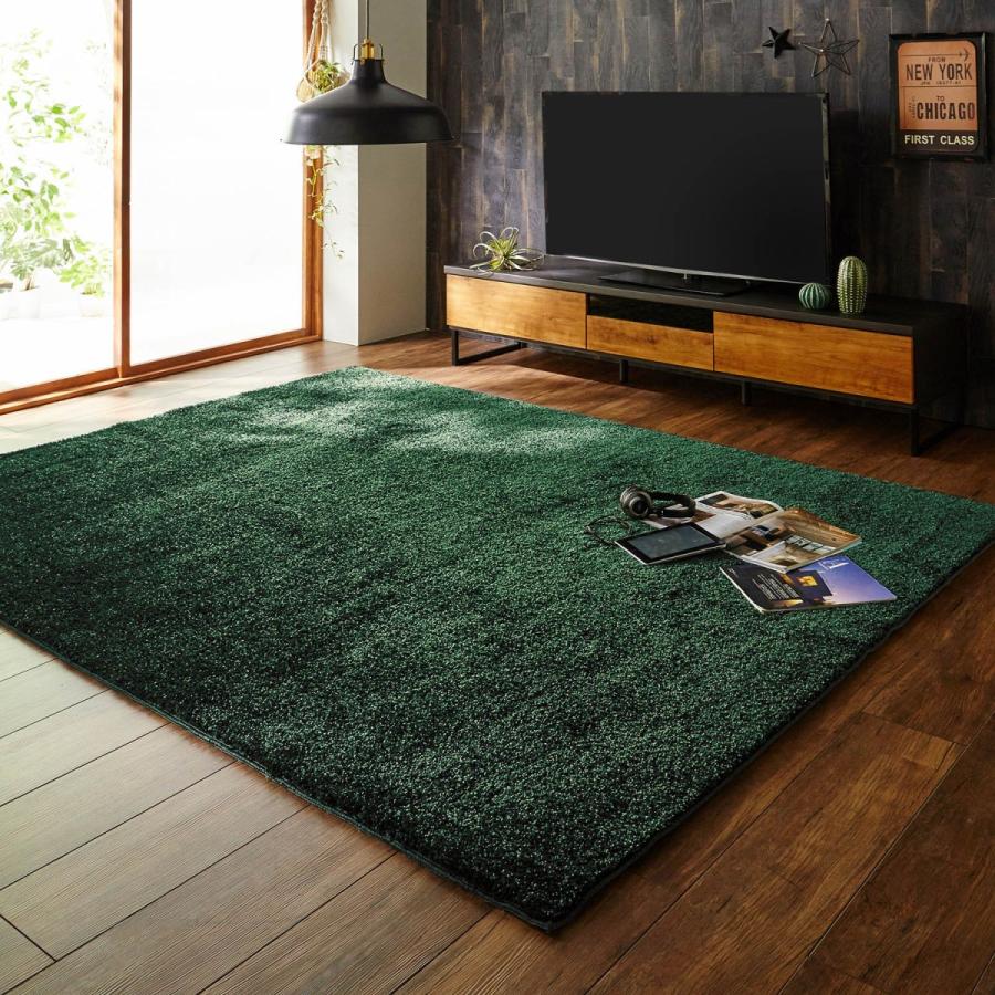 ラグ ラグマット 防ダニ加工 ダークグリーン 約95 130 マット シャギー 日本製 ナイロン製 ホットカーペット対応 手洗い おしゃれ 無地 E 001 ベルメゾン インテリア Yahoo 店 通販 Yahoo ショッピング