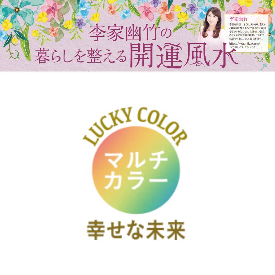 ベルメゾン（BELLE MAISON） サンキャッチャー インテリア オーロラ