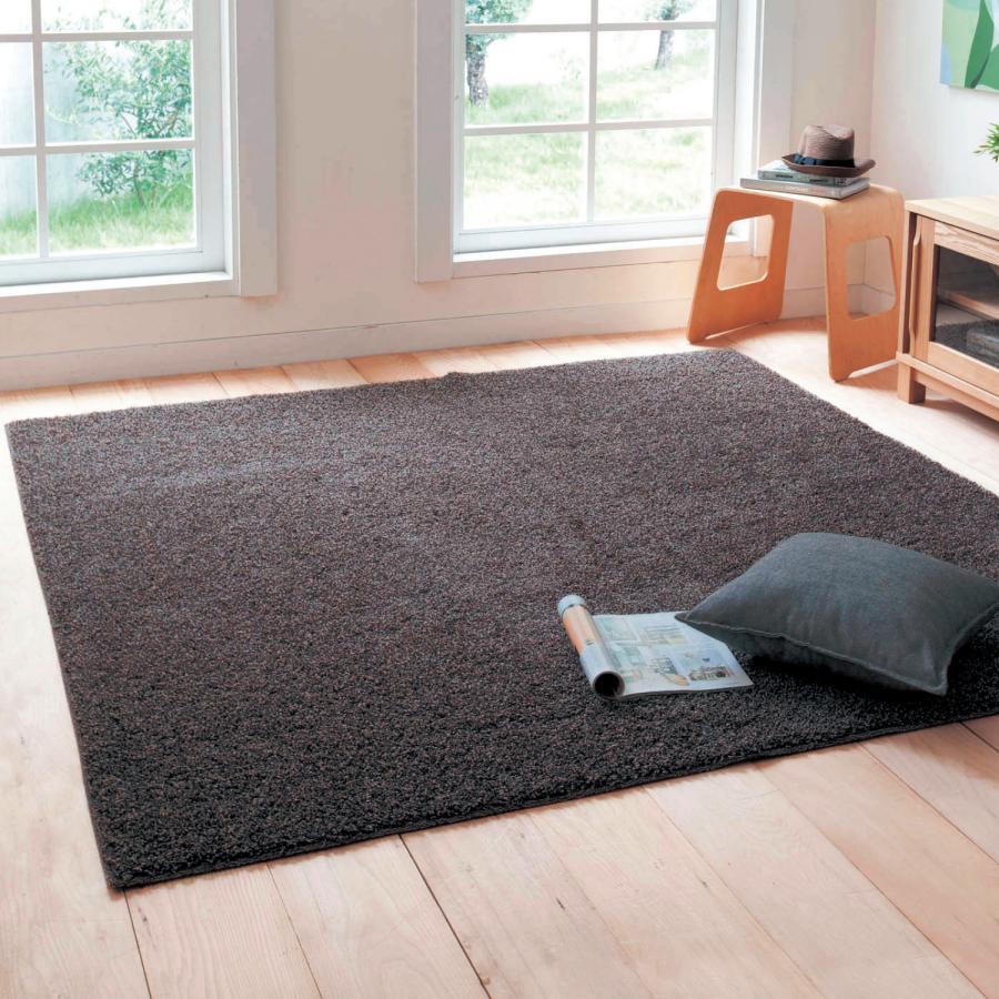 ラグ ラグマット 洗える 防ダニ アース オールシーズン 約95×150 絨毯