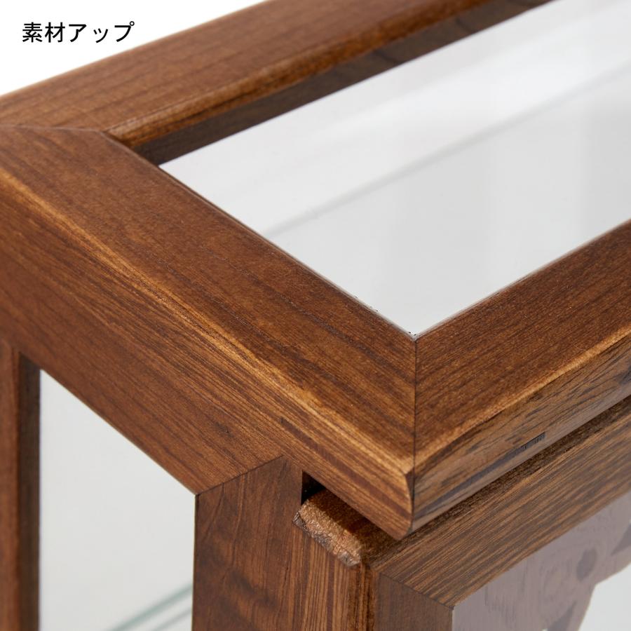 コレクションケース ディスプレイケース ケース ディスプレイラック