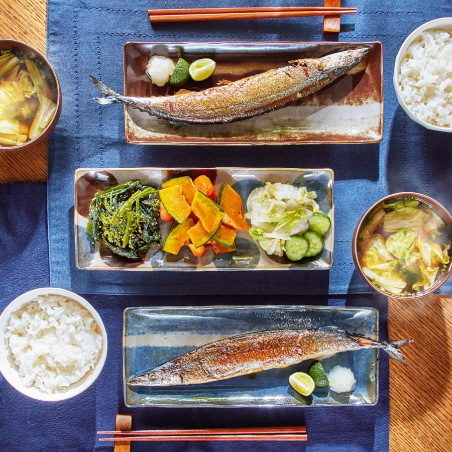 皿 長方形 四角 5柄 セット 食器 美濃焼 レンジ可 食洗機可 皿 長方形 四角 5柄 セット 食器 美濃焼 レンジ可 食洗機可