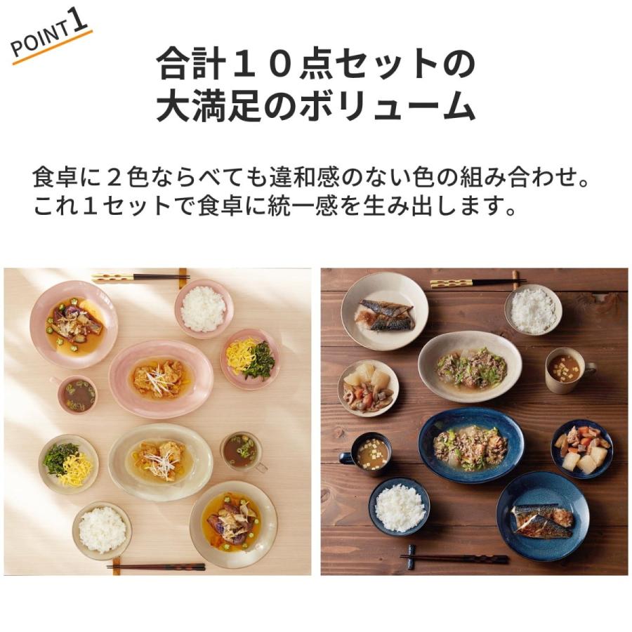 美濃焼 食器 5種 10ピース セット 和食 洋食 おもてなし 料理 来客 新