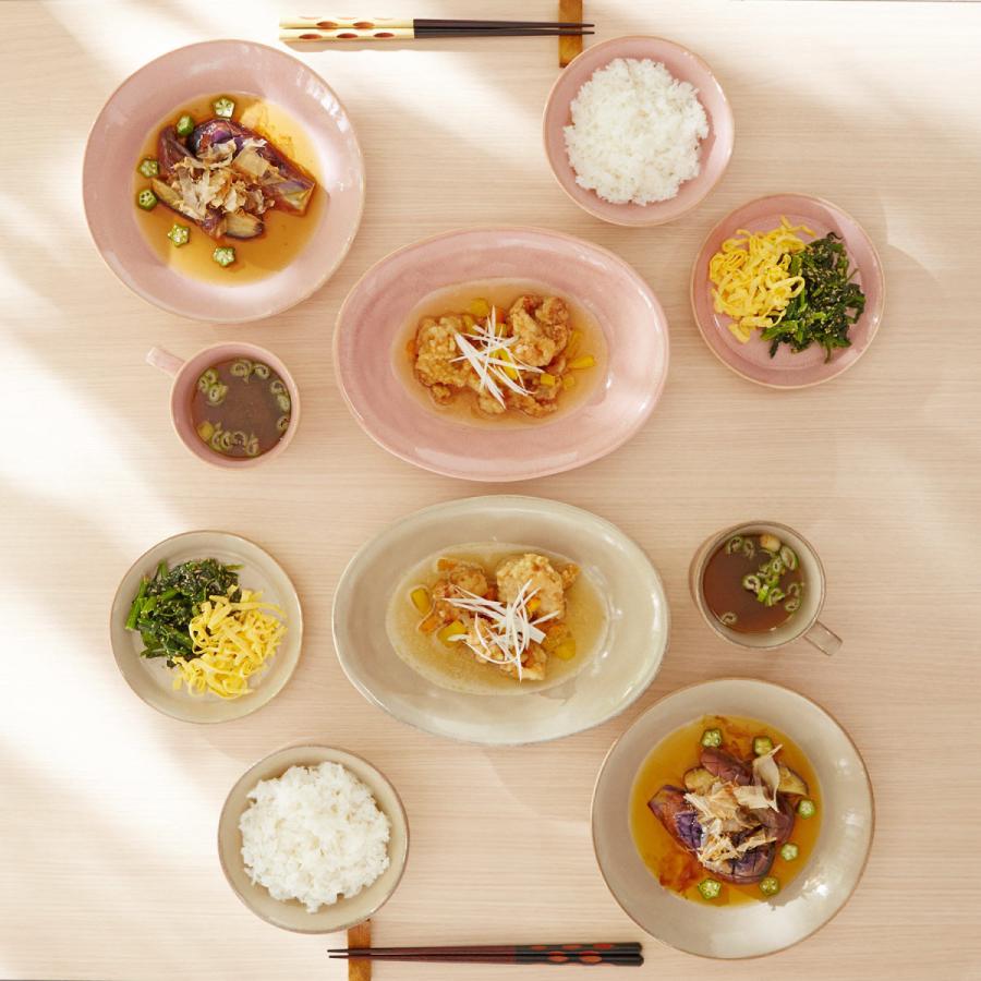 美濃焼 食器 5種 10ピース セット 和食 洋食 おもてなし 料理 来客 新