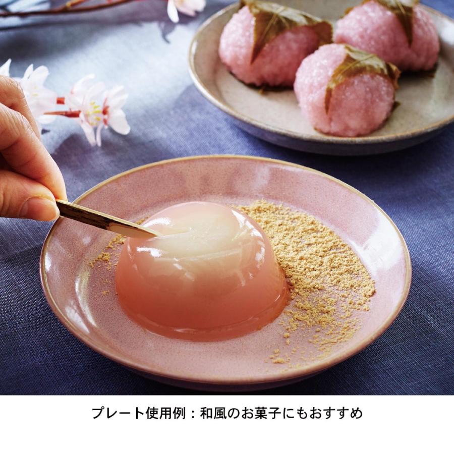 美濃焼 食器 5種 10ピース セット 和食 洋食 おもてなし 料理 来客 新