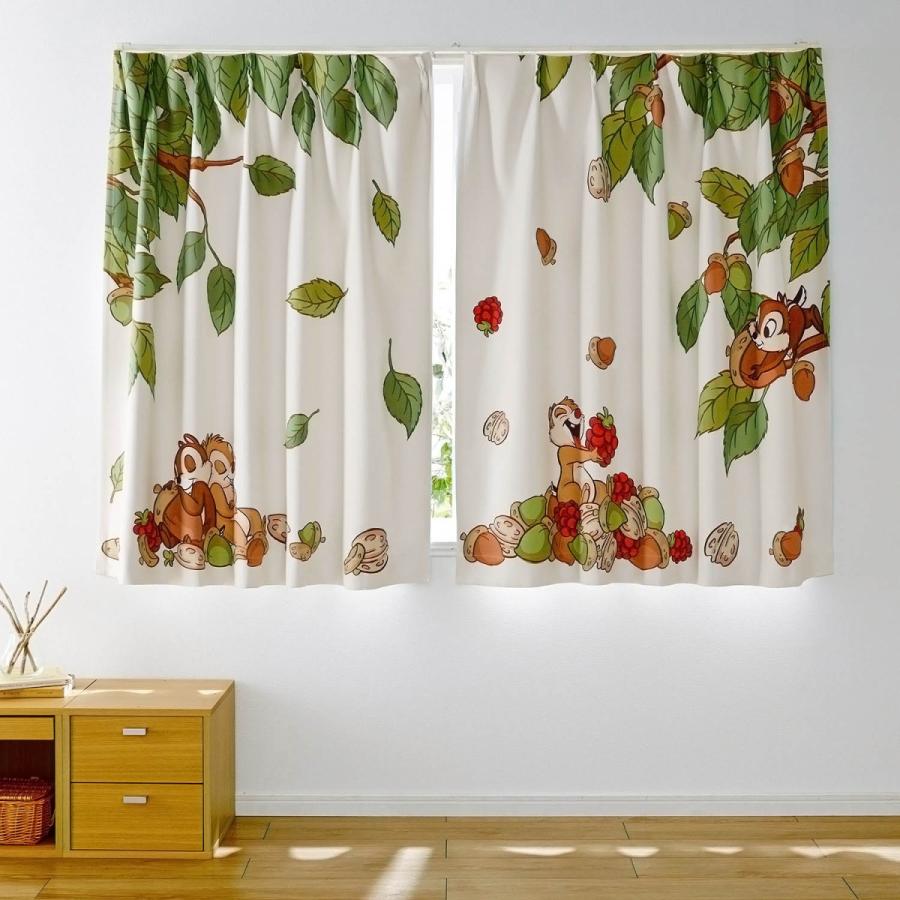 Disney（ディズニー） カーテン 遮光 2級遮光 おしゃれ 洗える 一枚絵