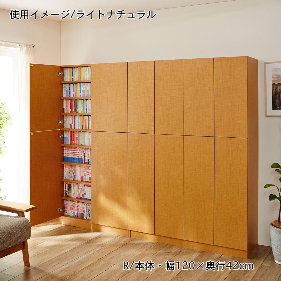 ［日本製］棚板１ｃｍピッチのプッシュ扉付き頑丈薄型収納本棚 H・上置き／90×32の画像