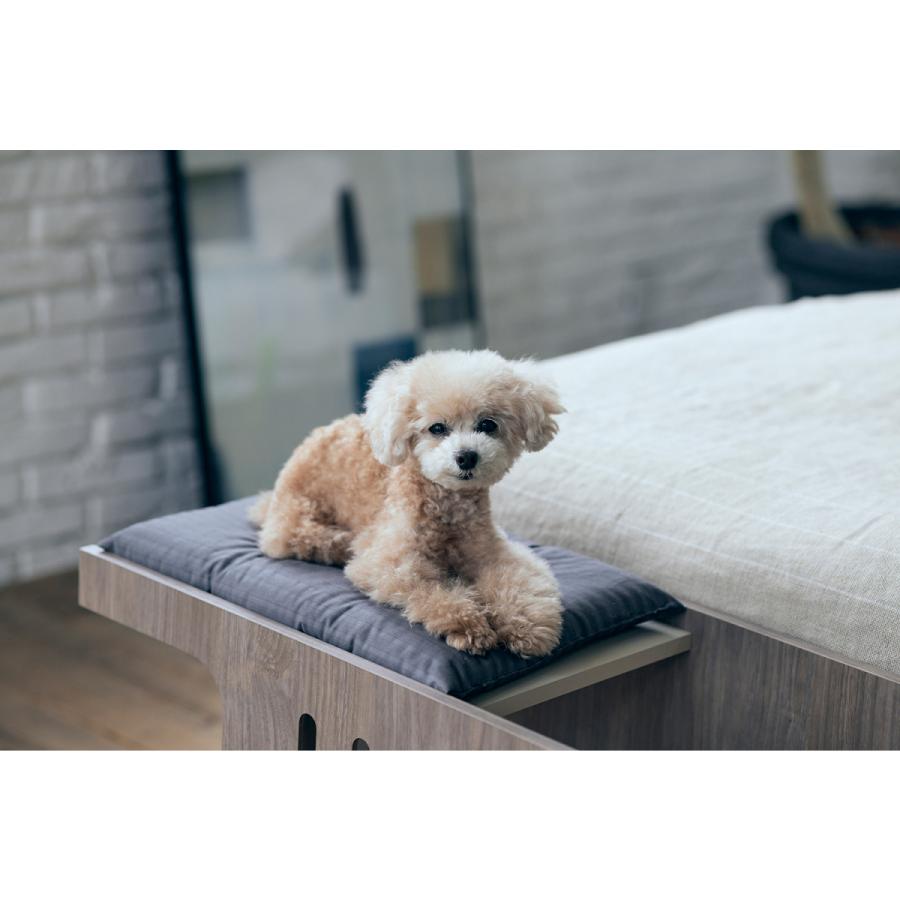 フランスベッド（FRANCEBED） ペットステップベンチ（FRANCE BED