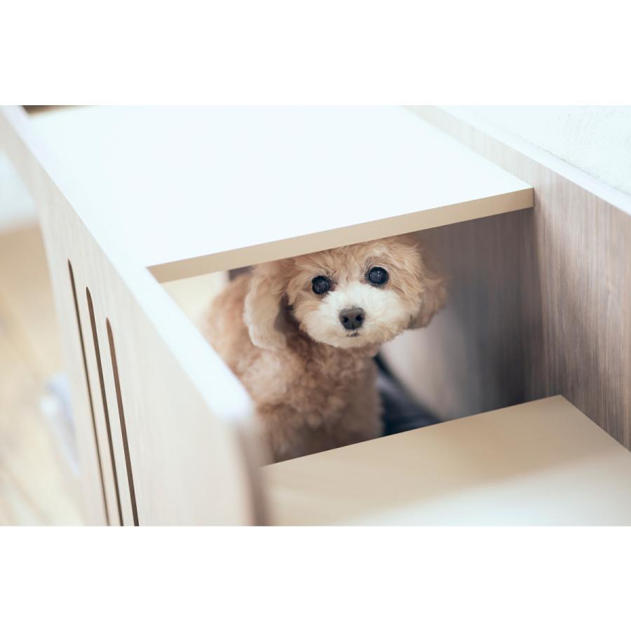 フランスベッド（FRANCEBED） ペットステップベンチ（FRANCE BED