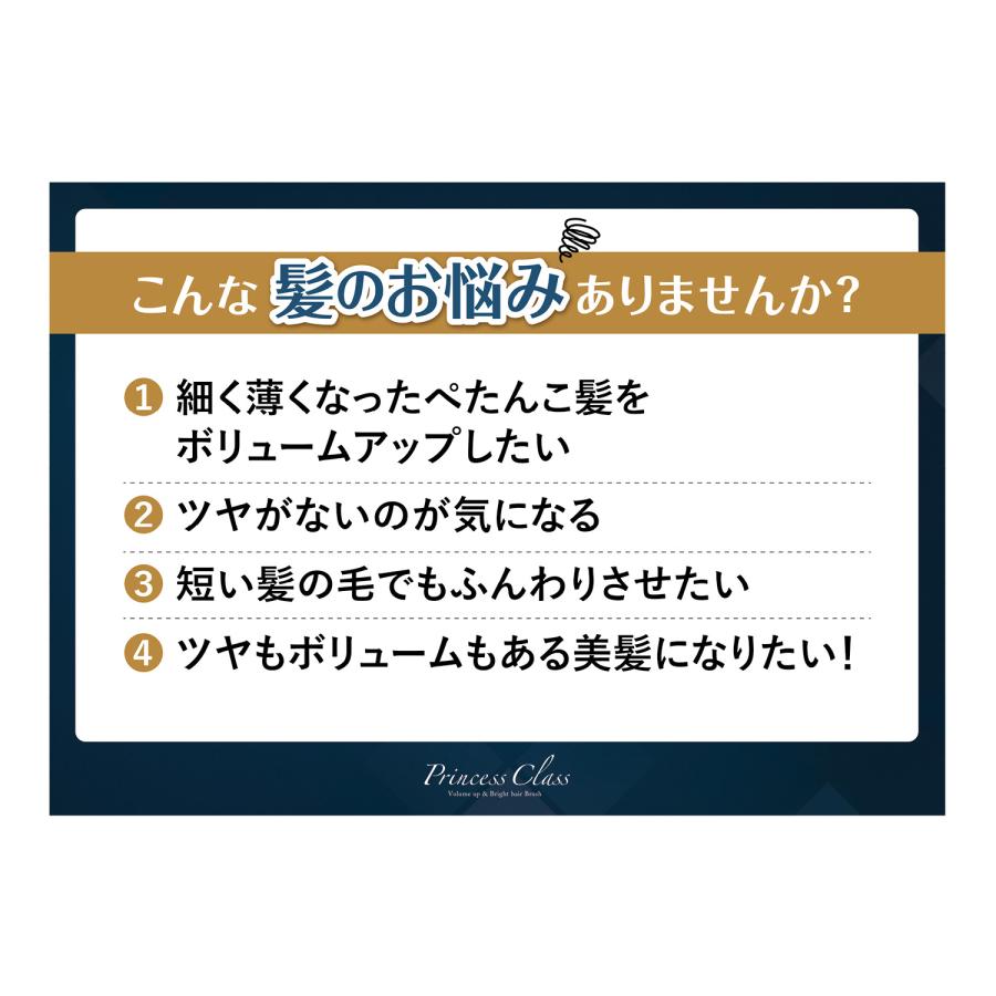 ヘアブラシ ブラシ プリンセスクラス クリーナー 巾着ポーチ付き