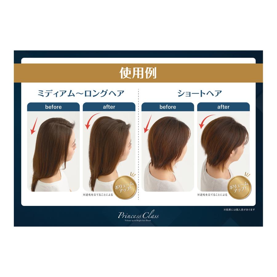 ヘアブラシ ブラシ プリンセスクラス クリーナー 巾着ポーチ付き