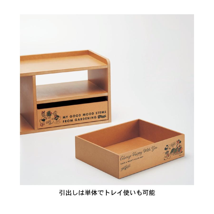 Disney（ディズニー） 収納ボックス ボックス 収納小物 収納雑貨 収納