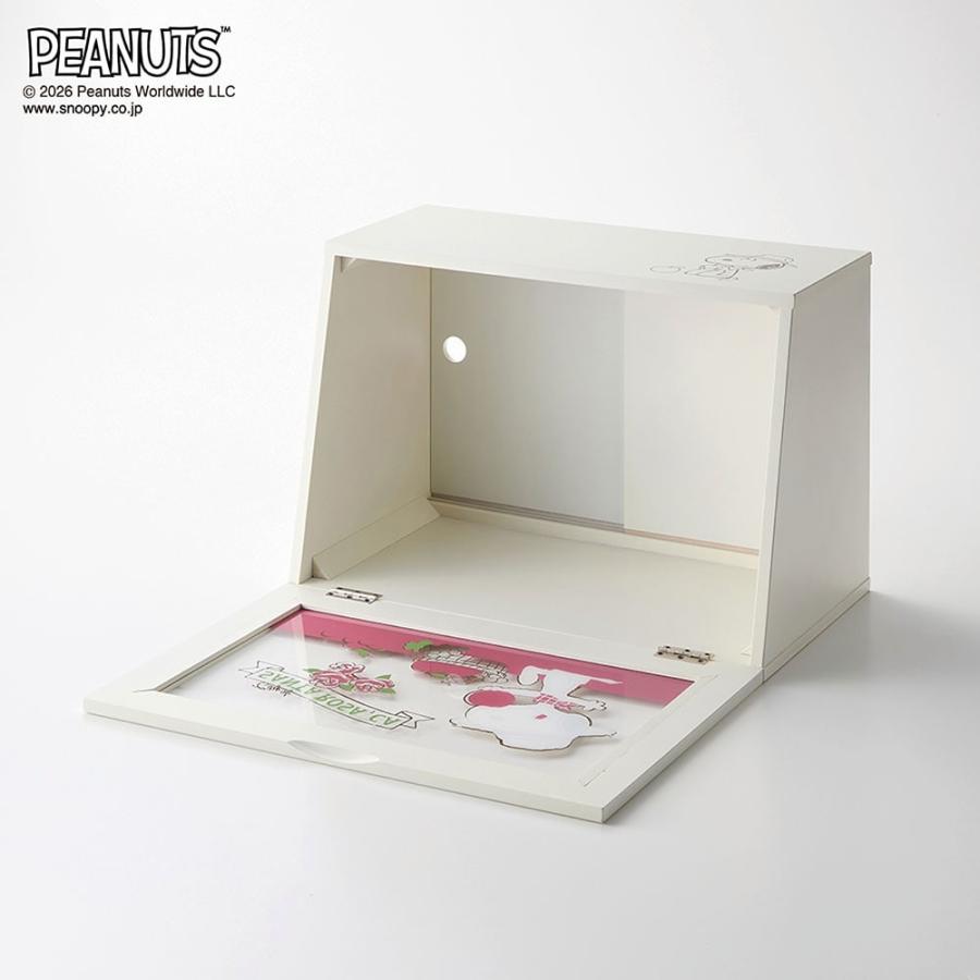 PEANUTS 収納ボックス 収納box カウンター上収納 スヌーピー SNOOPY