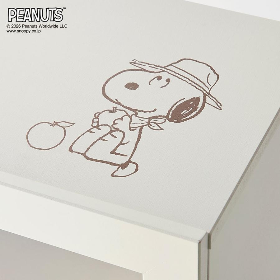 PEANUTS 収納ボックス 収納box カウンター上収納 スヌーピー SNOOPY