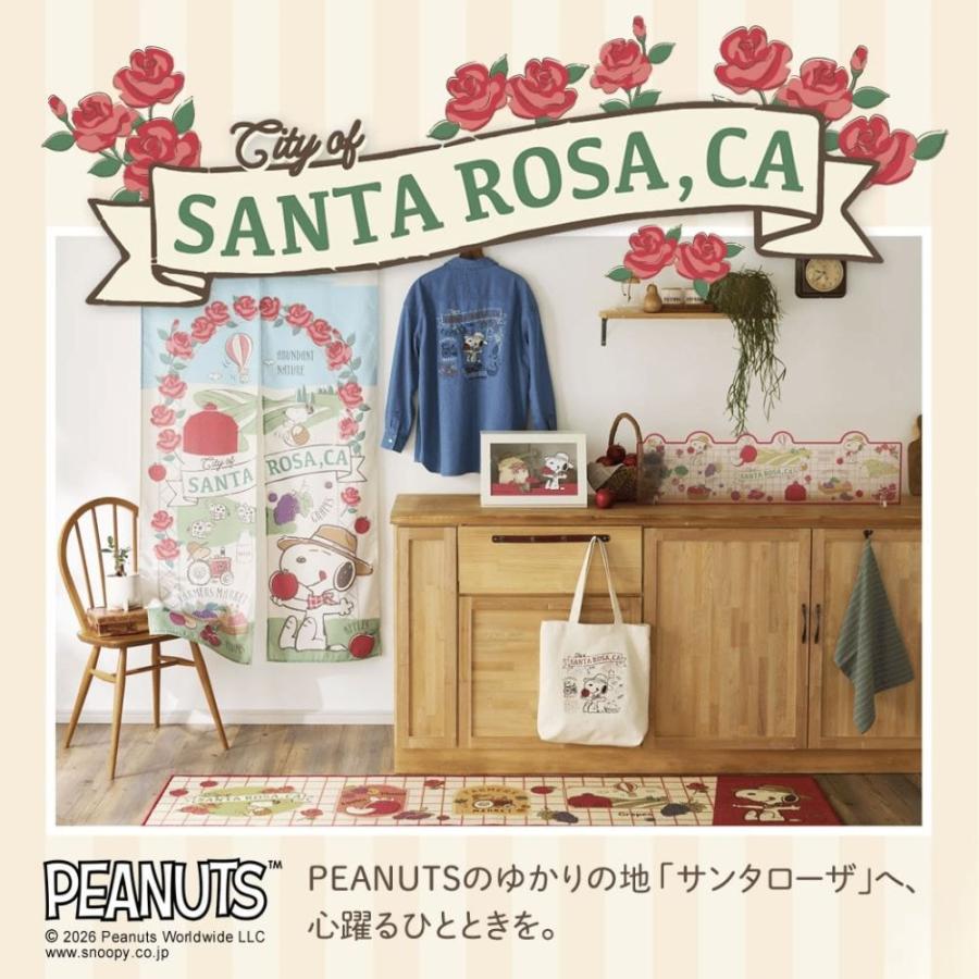 PEANUTS 収納ボックス 収納box カウンター上収納 スヌーピー SNOOPY