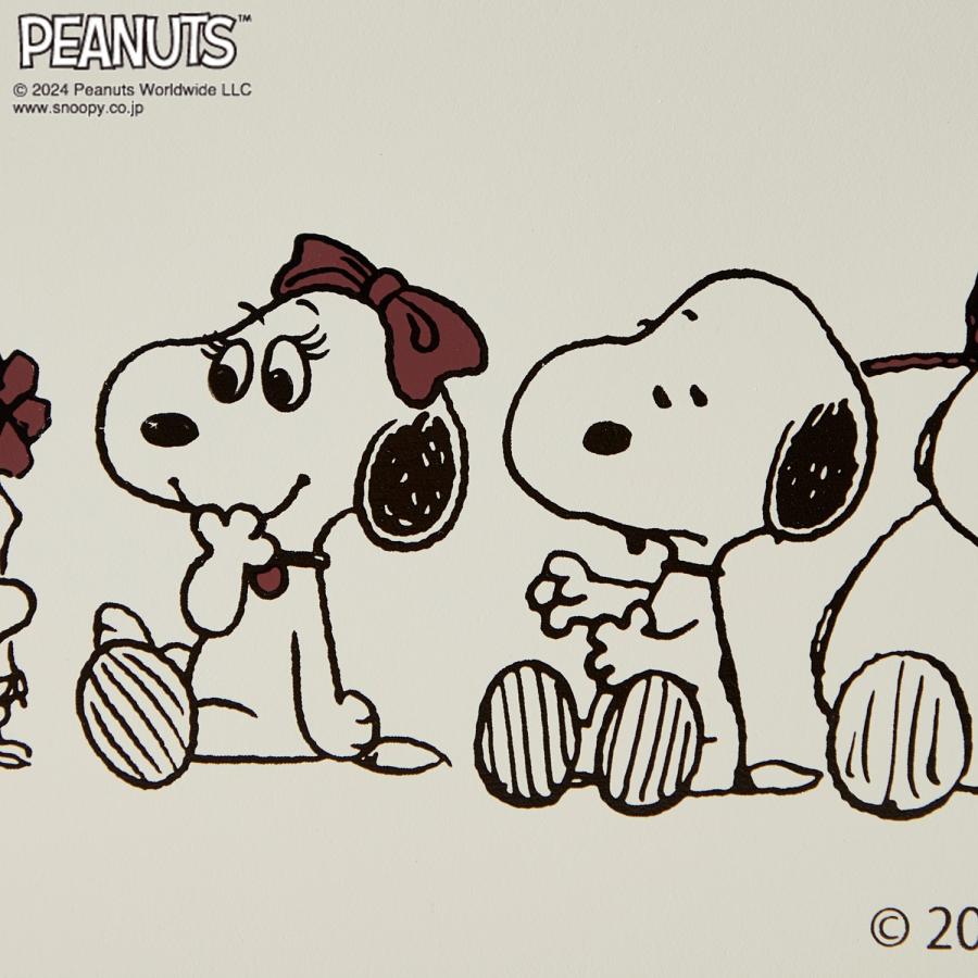 PEANUTS メイクボックス 卓上メイクボックス 化粧箱 化粧品ボックス