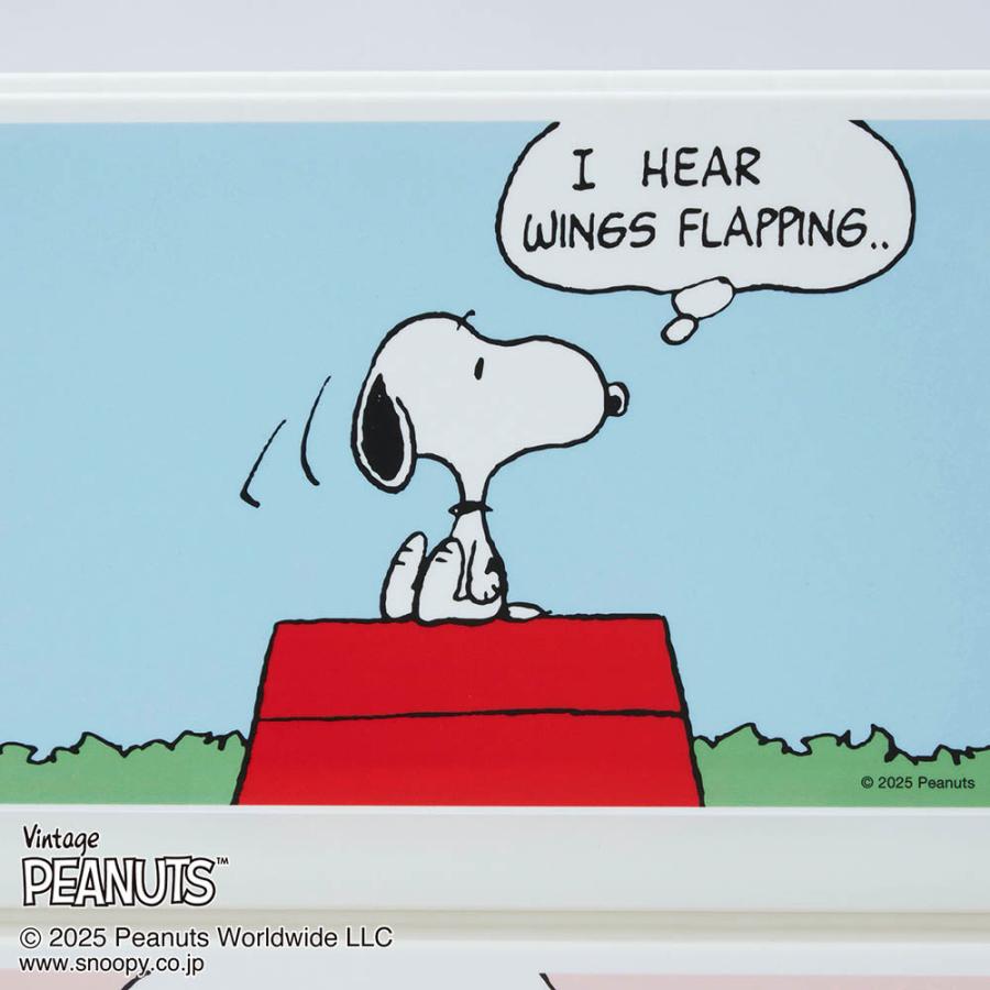 PEANUTS チェスト 収納チェスト 衣類収納 小物収納 雑貨収納 4コマ