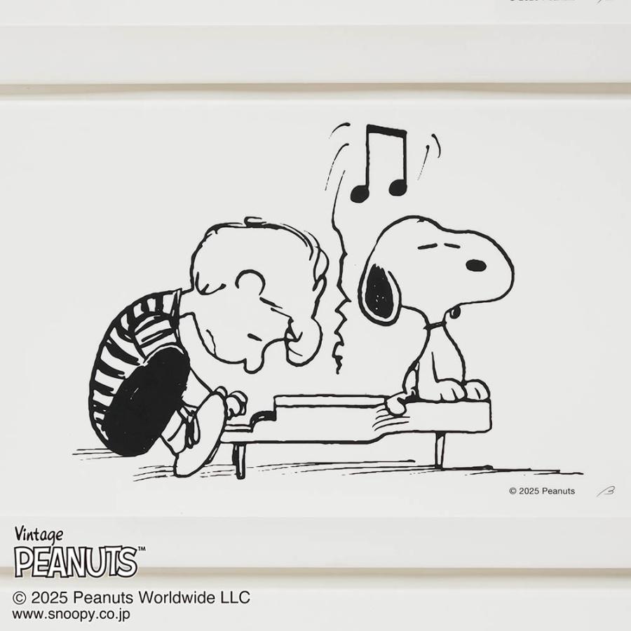PEANUTS チェスト 収納チェスト 衣類収納 小物収納 雑貨収納 4コマ