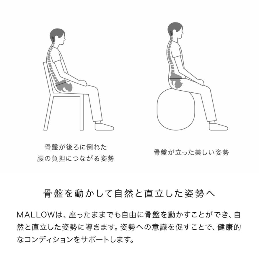 ベルメゾン（BELLE MAISON） バランスボール オーバル型 フィットネス