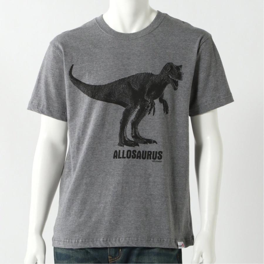 シュライヒ恐竜半袖大人ｔシャツ アロサウルス S M L ベルメゾン Paypayモール店 通販 Paypayモール