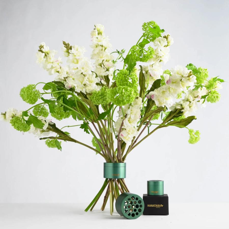 HANATABA ハナタバ Bouquet twister ブーケツイスター Ivy Green（ アイビーグリーン）S/Lセット 花束 ブーケ スウェーデン |  | 02