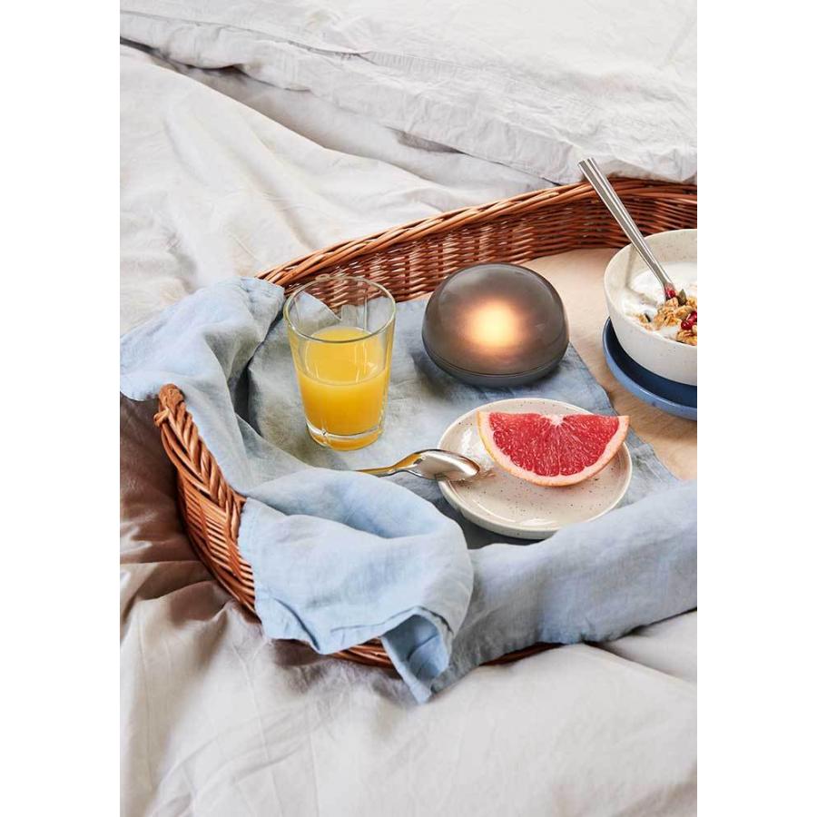 フロアーライト ローゼンダール ROSENDAHL COPENHAGEN  ソフトスポット  LED スモーク  φ9cm 26200 USB充電  スポットライト  間接照明 おしゃれ 北欧 | ROSENDAHL COPENHAGEN | 07