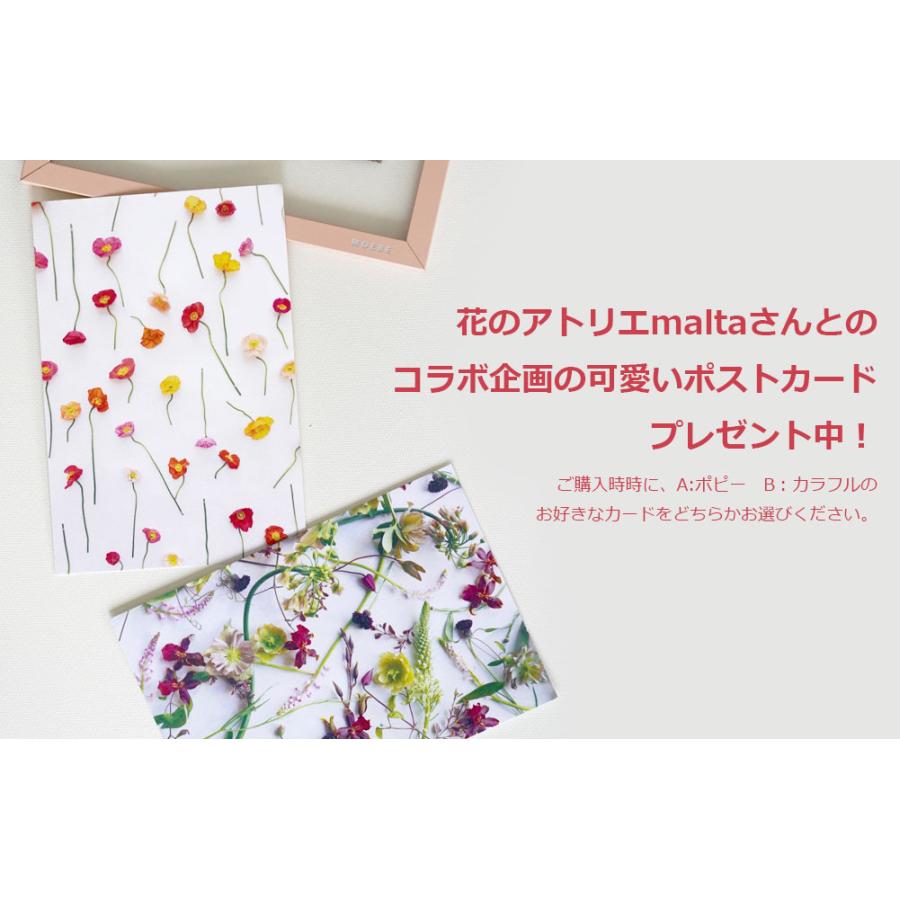 花瓶  ガラス フィリグランベース  ROSENDAHL Filigran 16cm フラワーベース おしゃれ  北欧 ローゼンダール コペンハーゲン 38052 限定販売 |  | 08