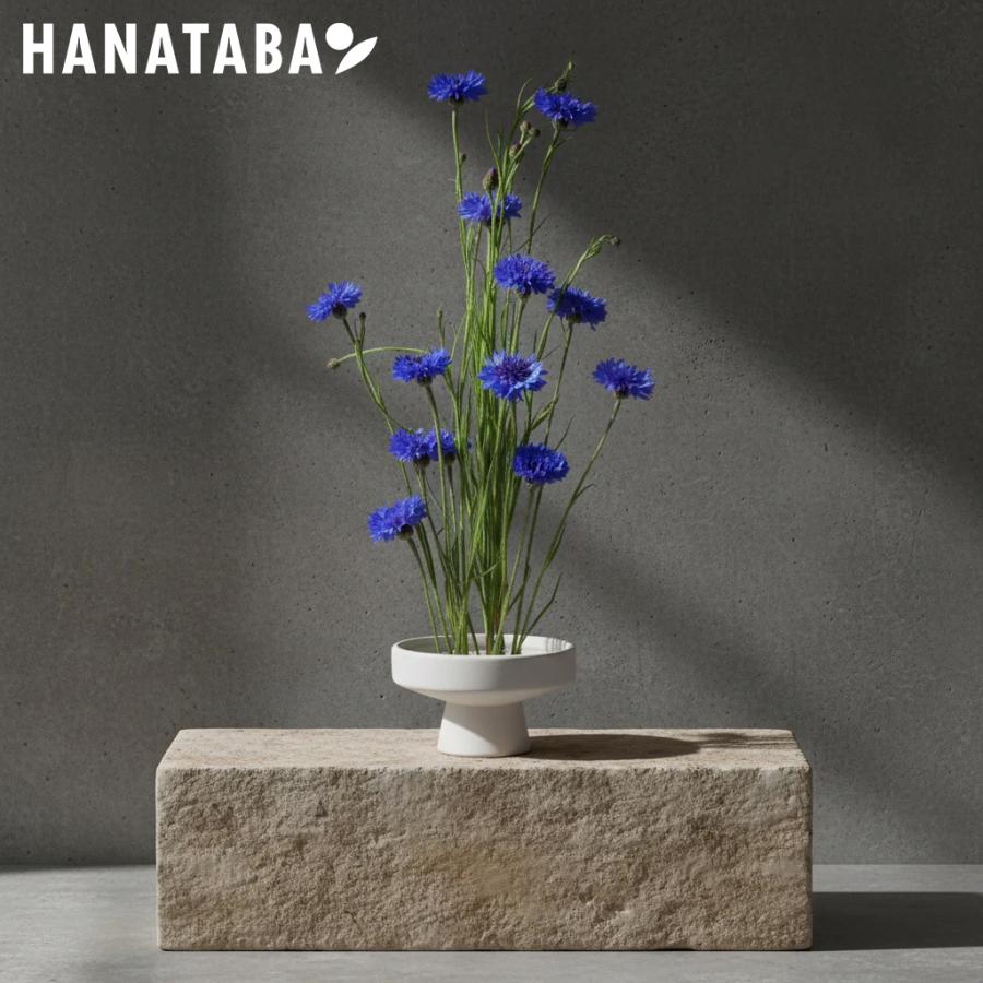 HANATABA ハナタバ Ikebana Bowl イケバナボウル ホワイト 16cm 花束 スウェーデン | 