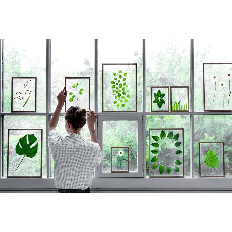 MOEBE 額縁 ポスターフレーム ムーベ フレーム A2 アッシュ