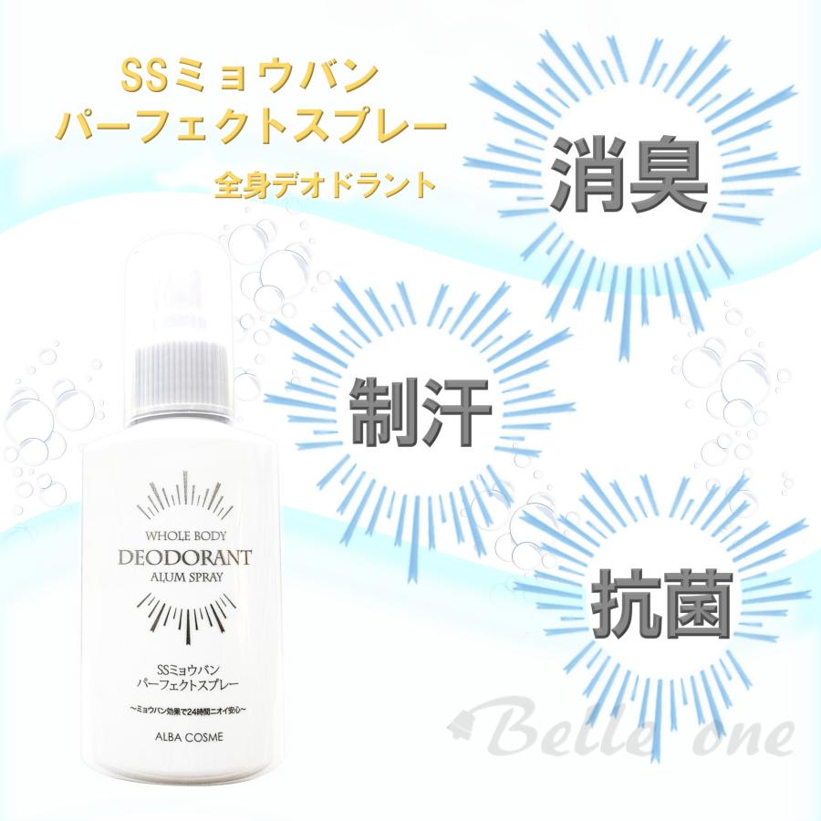4本セット】アルバ SSミョウバン パーフェクトスプレー 100g 【宅急便