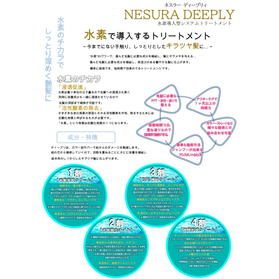 DEEPLY（NESURA） DEEPLY ディープリィ 4モイスト No.4M 100g ホーム