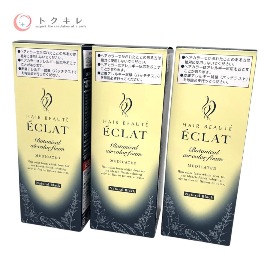HBE ボタニカルエアカラーフォームEX ナチュラルブラック 80g 3個セット HAIR BEAUTE ECLAT 【トクキレ】ヘアボーテ エクラ ボタニカル エア