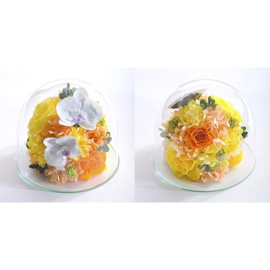 クリスマス プリザーブドフラワー #胡蝶蘭のガラスドーム〈2L〉 ガラス