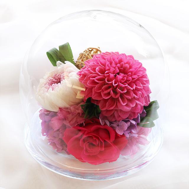 プリザーブドフラワー ガラスドーム 誕生日 花 プレゼント ギフト ダリアと輪菊のガラスドーム L バラ ダリア 菊 出荷 15営業日 Dringl プリザーブドフラワーベルフルール 通販 Yahoo ショッピング