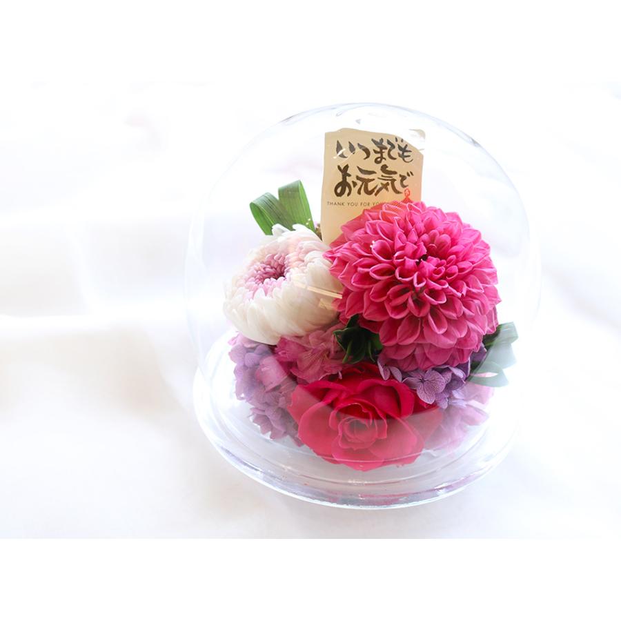 プリザーブドフラワー ガラスドーム 誕生日 花 プレゼント ギフト ダリアと輪菊のガラスドーム L バラ ダリア 菊 出荷 15営業日 Dringl プリザーブドフラワーベルフルール 通販 Yahoo ショッピング