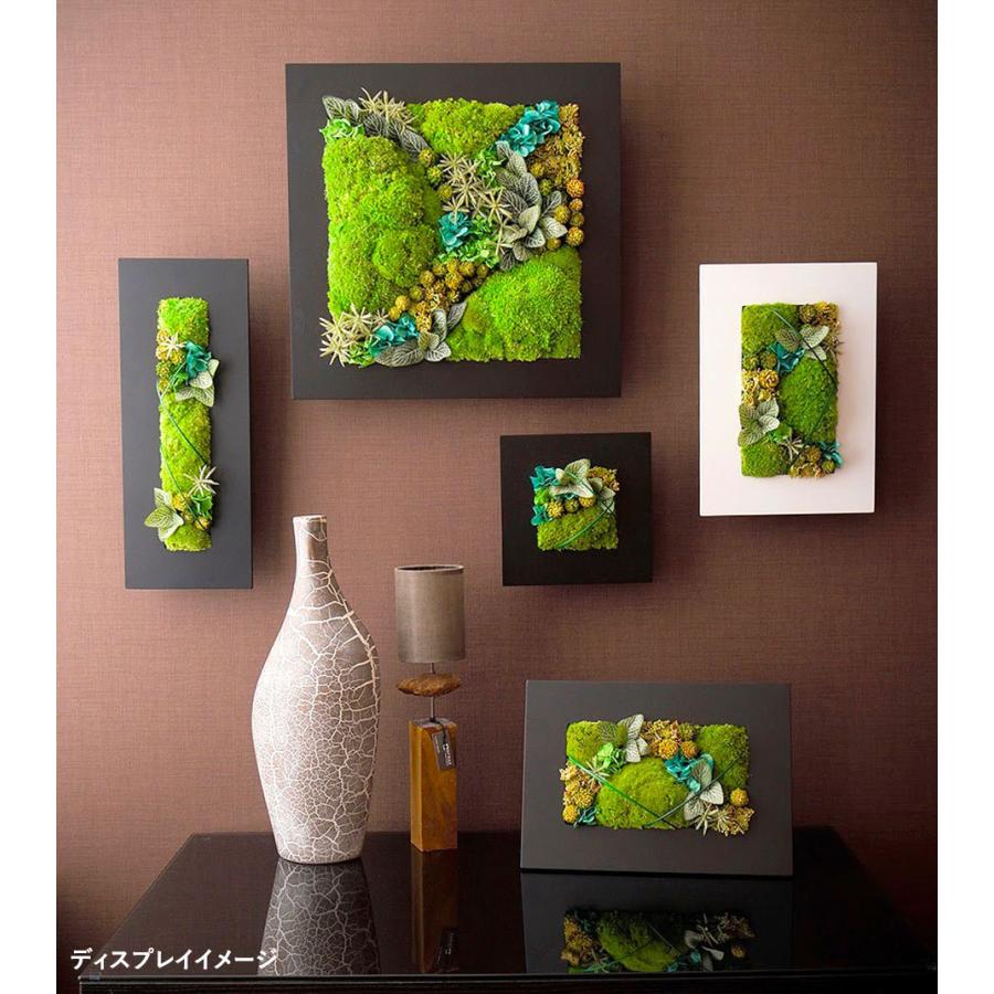 クリスマス プリザーブドフラワー #グリーンフレームM フレーム 誕生日