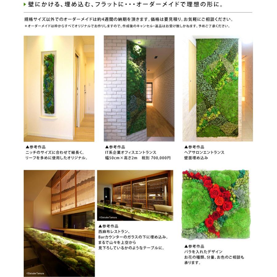 プリザーブドフラワー #グリーンウォール【450】 花 苔 グリーン 壁掛け インテリア エントランス モス こけ コケ moss 建物 内装 デザイン 【出荷：15営業日】｜belles-fleurs｜05