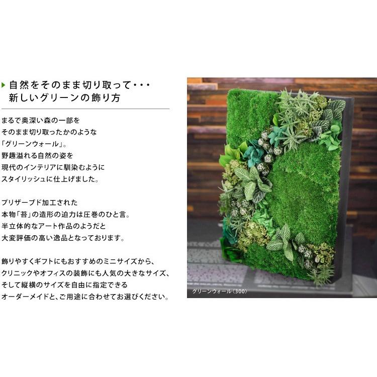 プリザーブドフラワー #グリーンウォール【500】 花 苔 グリーン