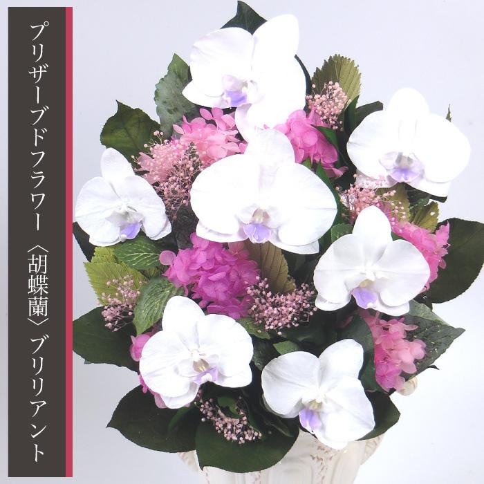 敬老の日 花 プレゼント プリザーブドフラワー 胡蝶蘭ブリリアント 出荷 15営業日 送料無料 ギフト Kbril プリザーブドフラワーベルフルール 通販 Yahoo ショッピング