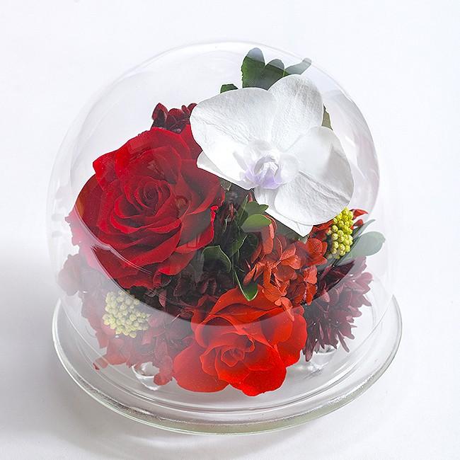 クリスマス プリザーブドフラワー #胡蝶蘭のガラスドーム〈L
