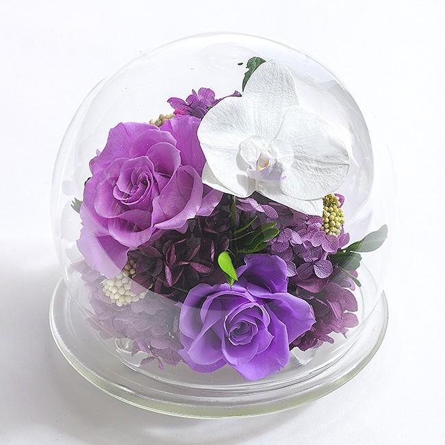 クリスマス プリザーブドフラワー #胡蝶蘭のガラスドーム〈L〉 ガラス