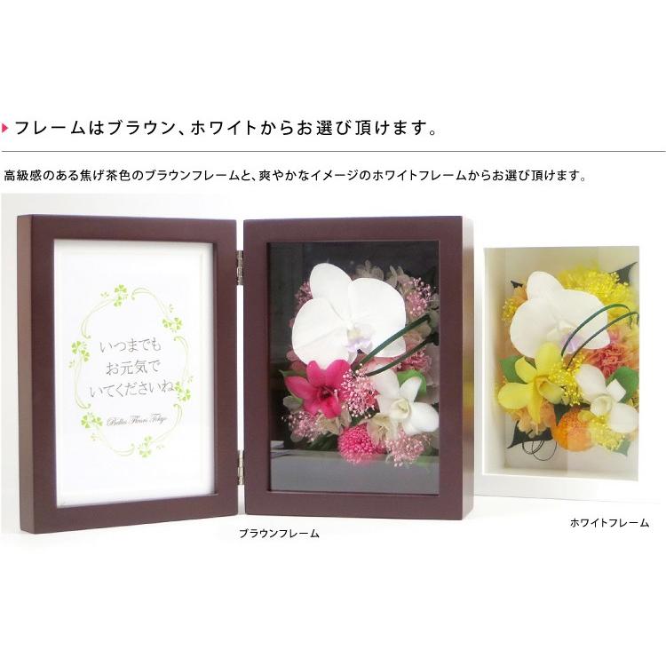 プリザーブドフラワー 送料無料 胡蝶蘭プリフォトフレーム 母の日 父の日 誕生日 結婚祝い 内祝い 両親贈呈 Kp プリザーブドフラワーベルフルール 通販 Yahoo ショッピング