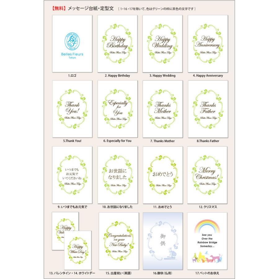 プリザーブドフラワー フォトフレーム 誕生日 プレゼント 花 ギフト 胡蝶蘭プリフォトフレーム 菊 マム 胡蝶蘭 名入れ 文字入れ可能 あすつく Kp プリザーブドフラワーベルフルール 通販 Yahoo ショッピング