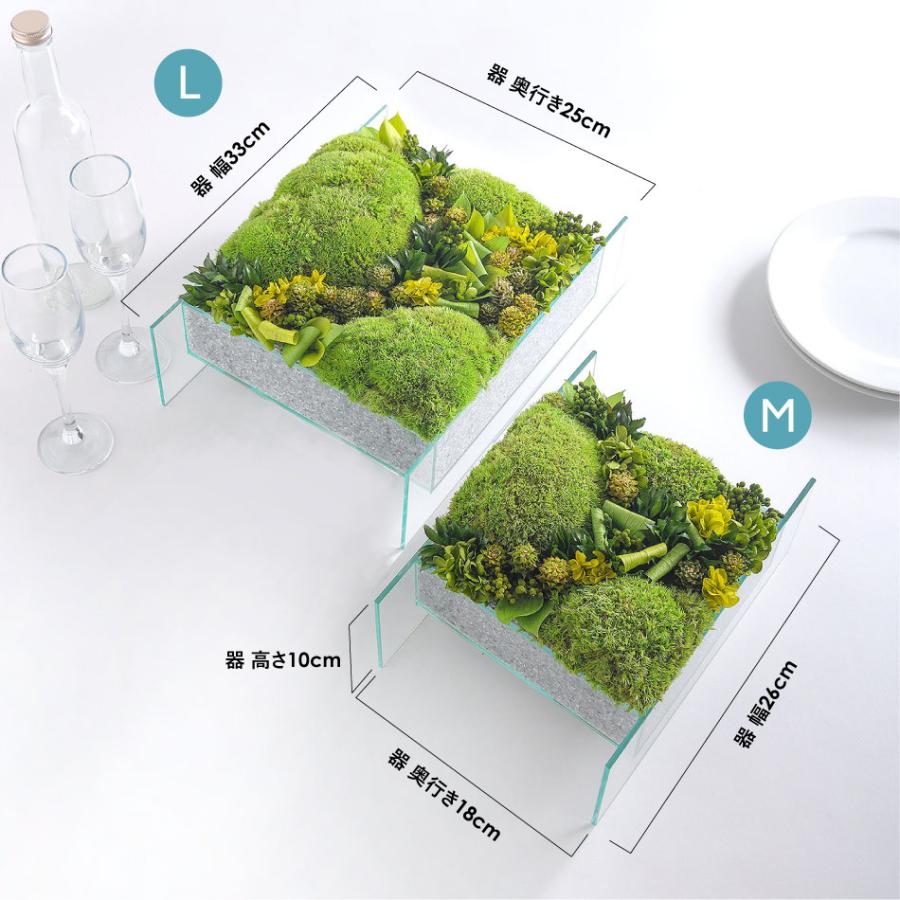 琉球*ルミカモス★ 蓄光 フィンランドモス　プリザーブド花材　0331-7 琉球*ルミカモス☆ 蓄光 フィンランドモスプリザーブド花材0331-7